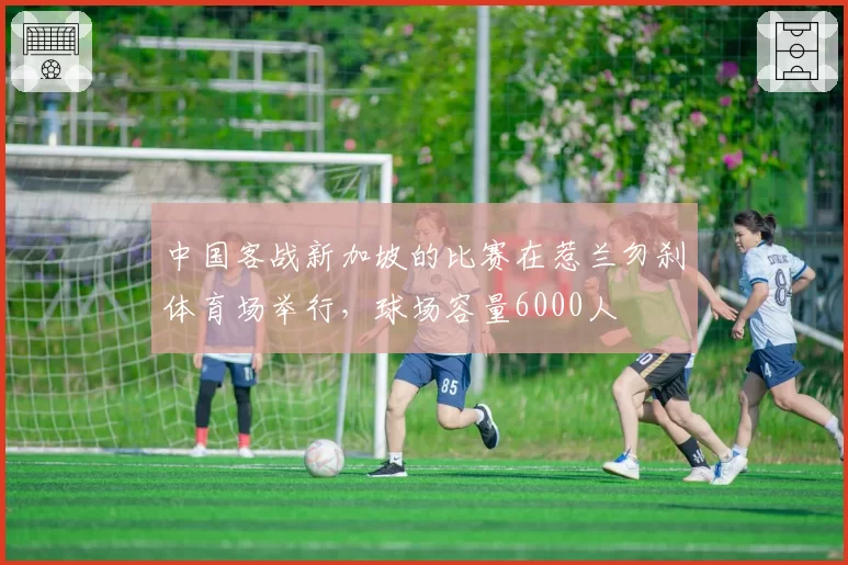 中国客战新加坡的比赛在惹兰勿刹体育场举行，球场容量6000人
