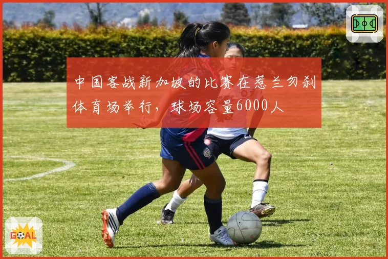 中国客战新加坡的比赛在惹兰勿刹体育场举行,球场容量6000人
