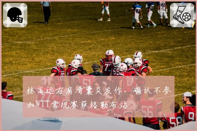 林高远右肩滑囊炎发作,确认不参加WTT常规赛萨格勒布站