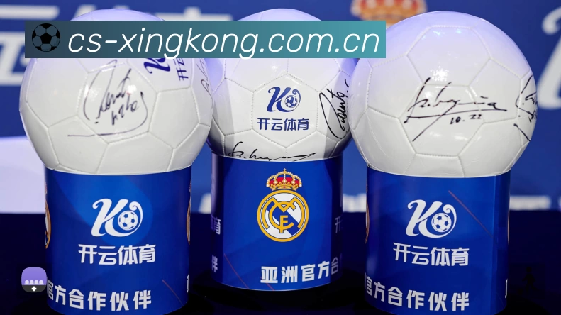XINGKONG星空体育App 页面展示